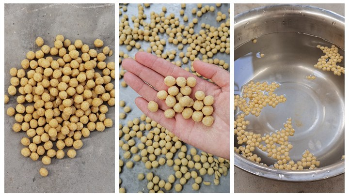 small scale Crappie feed pelleting machine in Uganda